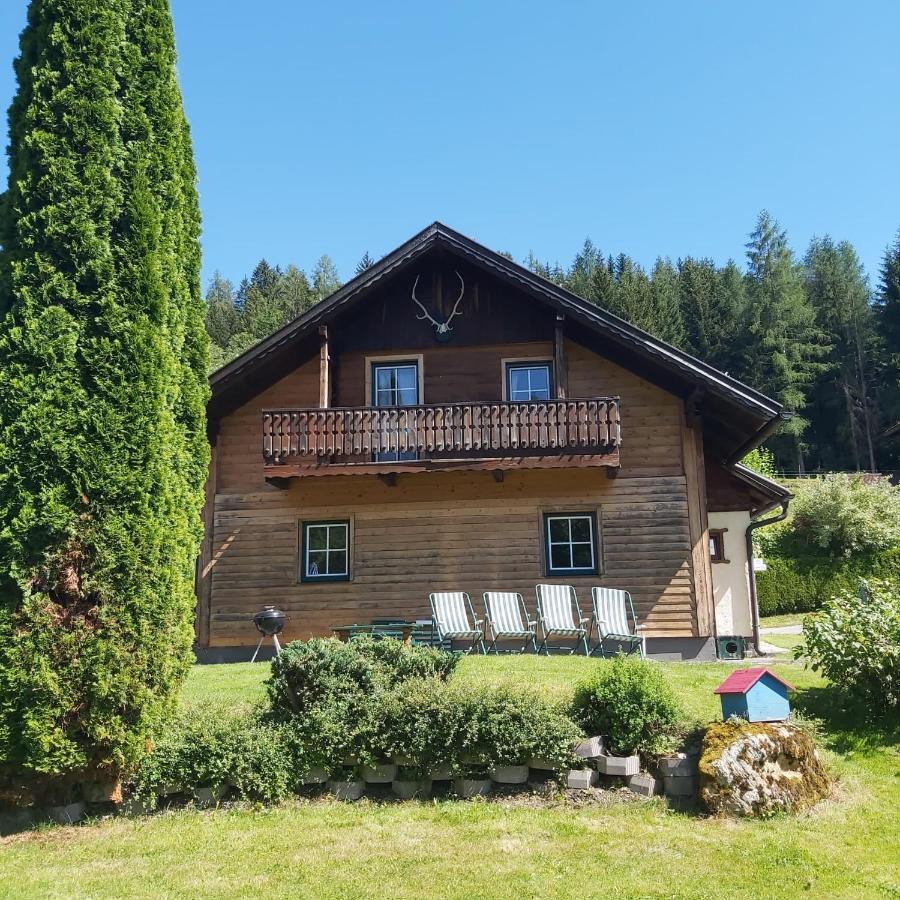 Haus Sonnenalm Villa Forstau  Exterior photo
